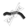 CAUTEX 186053 Radiator Hose